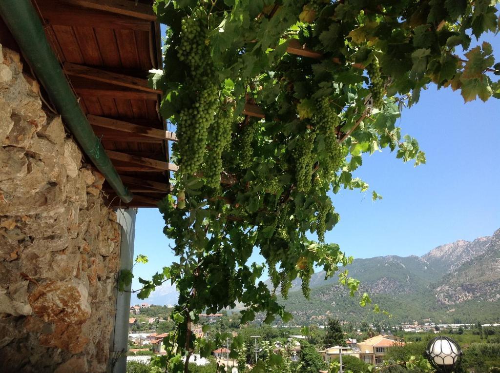 Adrasan Kybele Hotel Kültér fotó